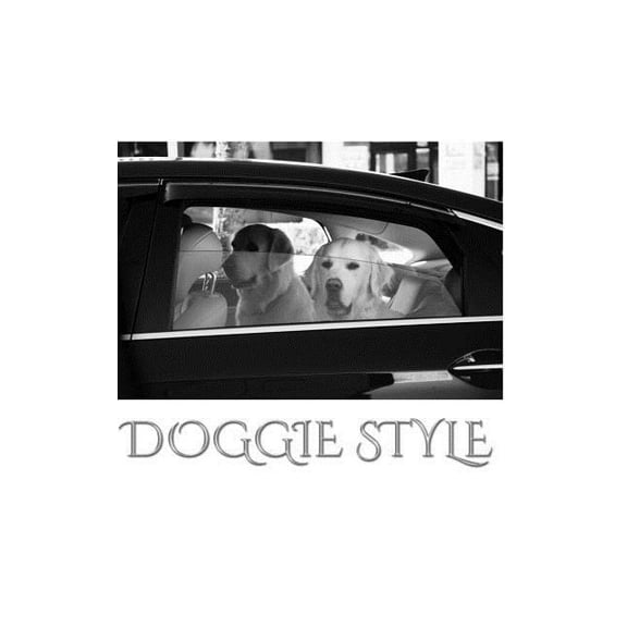 Doogie Style Journal: Doggie Style Journal, (Paperback)