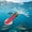 C, variant on Luminous Squid Fishing Lure, Soft Glow-in-the-Dark Squid Bait with 3D Eyes, 5.15" Saltwater & Freshwater Lure with Built-in Hook for Bass, Trout & More