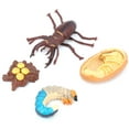 thumbnail image 1 of Modèle Biologique de Cycle de Croissance Animal, Modèle de Cycle de Vie Réaliste pour Enfants, 1 of 7