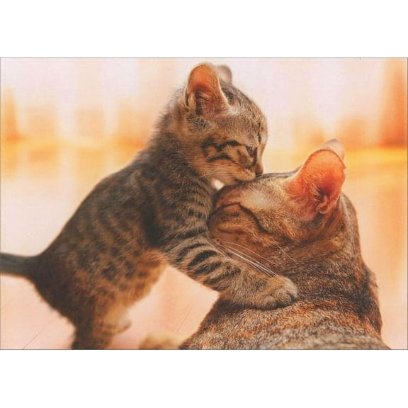 Avanti Press Kitten Hugs Cat Mother's Day Card