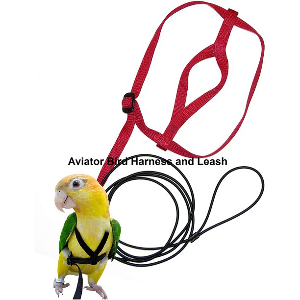 diy bird harness DIY Craft