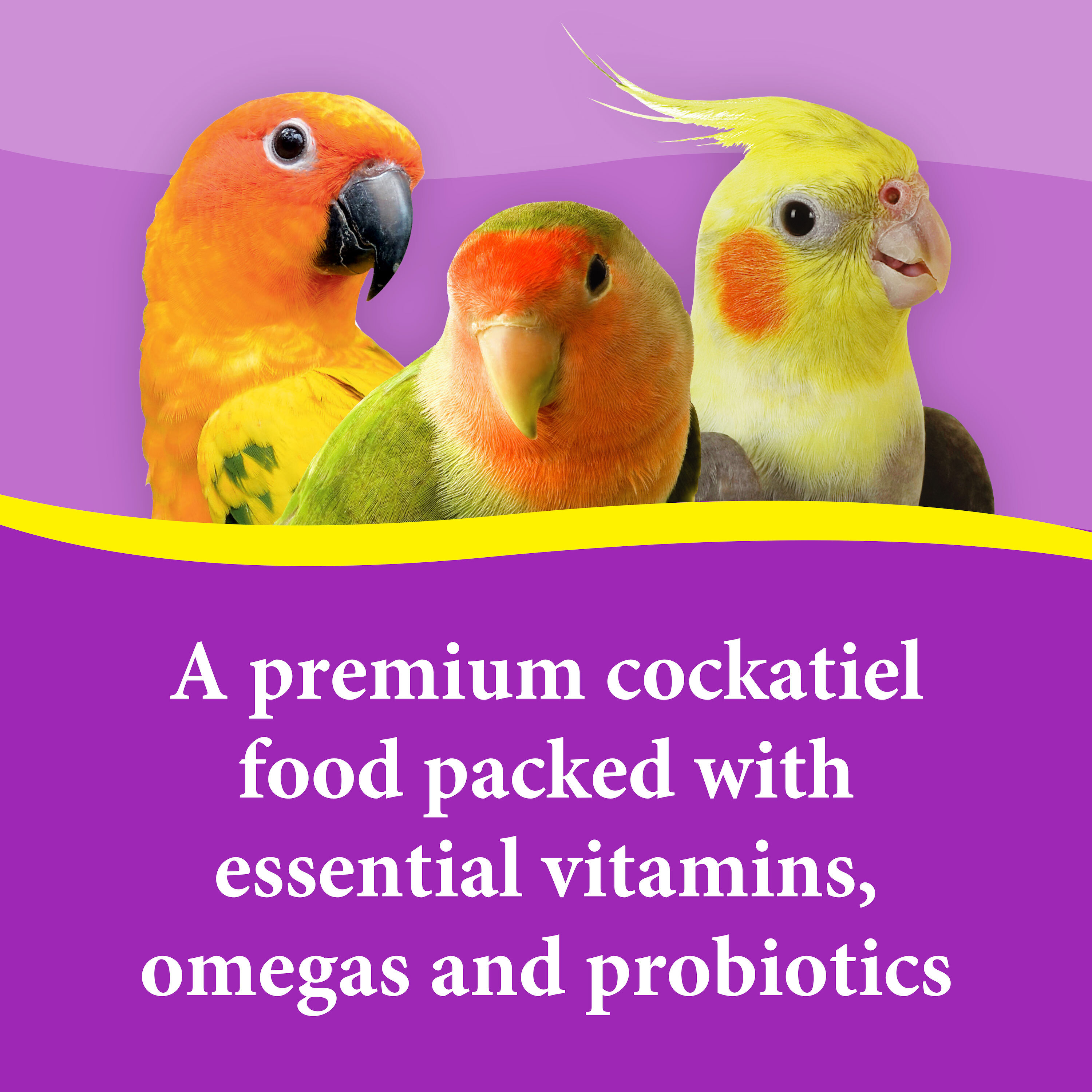 3-D Pet Products Premium Cockatiel Bird Food Seeds, with Probiotics, 4.5 lb. Stay Fresh Jar - image 4 of 15