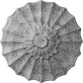 thumbnail image 1 of Ekena Millwork CM09SHUWC Ceiling Medallion, Ultra Pure White Crackle, 1 of 4