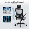 thumbnail image 3 of Ergonomic Lumbar Back Office Chair with Headrest and Flip-up Arms, High Back Task Chair Breathable Mesh Swivel Computer Chair, 320 lbs Weight Capacity, 3 of 10