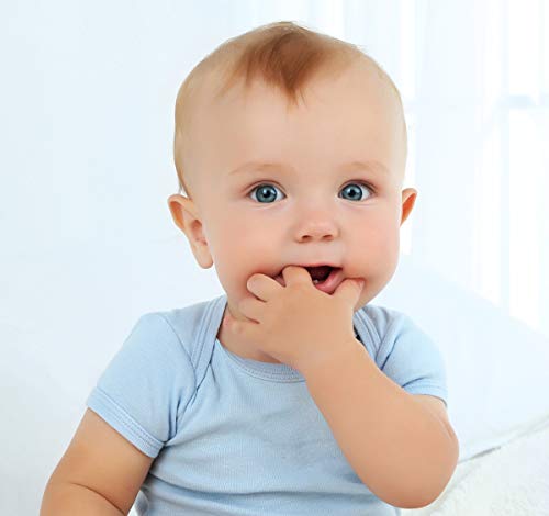 Bambini 8 Baby Bibs