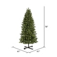 thumbnail image 3 of Vickerman G125066LED 6.5 ft. x 41 in. Slim Grand Teton 550WmWhtLED, 3 of 4