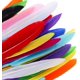 thumbnail image 5 of 240 plumas de ganso coloridas de 4 a 6 pulgadas, plumas naturales para manualidades Diy, 5 of 5