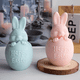 thumbnail image 3 of Molde de Vela de Silicona de Conejo de CáScara de Huevo 3D, Herramienta Creativa para Hornear JabóN Hecho a Mano de Resina de Yeso para Aromaterapia de Animales de Pascua, 3 of 5
