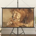 thumbnail image 1 of vidaXL Projection Screen 50" 16:9, 1 of 3
