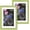 Green, variant on 8.5x11 Picture Frame, Black Photo Frame with HD Plexiglass, Display Pictures 6x8 with Mat or 8.5x11 Without Mat, Picture Frames Collage for Tabletop or Wall Display, 1 Pack