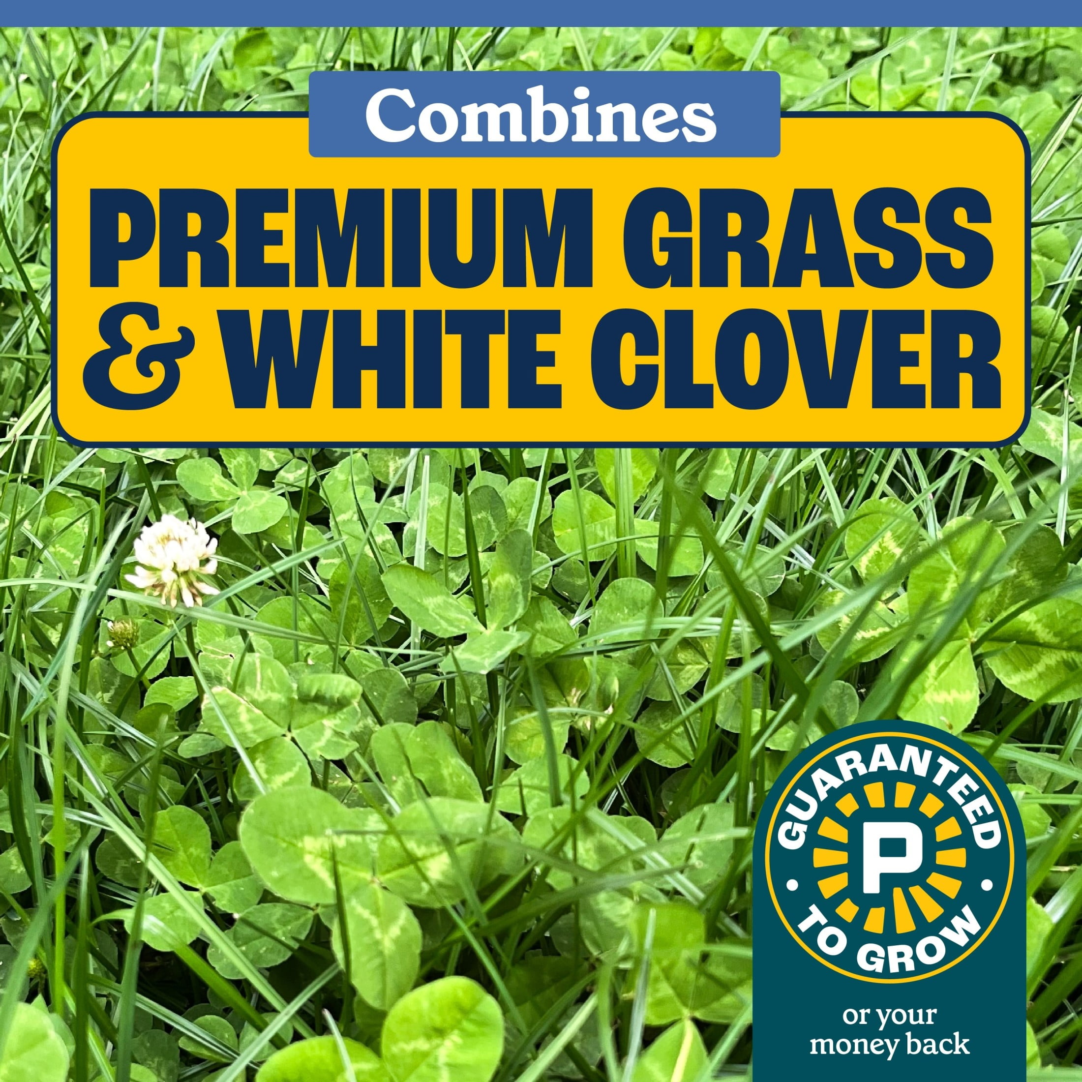 (2 pack) Pennington Smart Seed Clover & Grass Seed, Sun to Partial Shade, Drought Tolerant, Low-Maintenance Grass, 7 lb