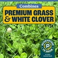 thumbnail image 5 of Pennington Smart Seed Clover & Grass Seed, Sun to Partial Shade, Drought Tolerant, Low-Maintenance Grass, 7 lb, 5 of 15