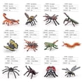 thumbnail image 3 of Paquete de 12 figuras de insectos, figuras de animales educativos, juguetes interactivos para niños, accesorio para el aula escolar, 3 of 4