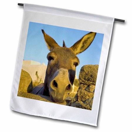 3dRose Greece  Mykonos  Hora  donkey and stone fence - EU12 DGU0093 - Darrell Gulin - Garden Flag  12 by 18-inch