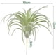 thumbnail image 2 of Tillandsias, bromelias y plantas aéreas artificiales sin macetas para decoración de interiores Suculentas artificiales en paquete de 2, 2 of 6