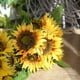 thumbnail image 5 of Ramo de flores de Seda Wosthever Adornos decorativos artificiales de girasol para boda, 5 of 6