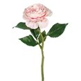 thumbnail image 1 of Vickerman 13" Artificial Pink Rose Stem (6 per pack), 1 of 3