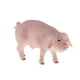 thumbnail image 1 of s de animales de cerdo de granja, modelo de simulación realista, juguete educativo de aprendizaje Zulema  Figura de juguete de estatuilla de cerdo, 1 of 6
