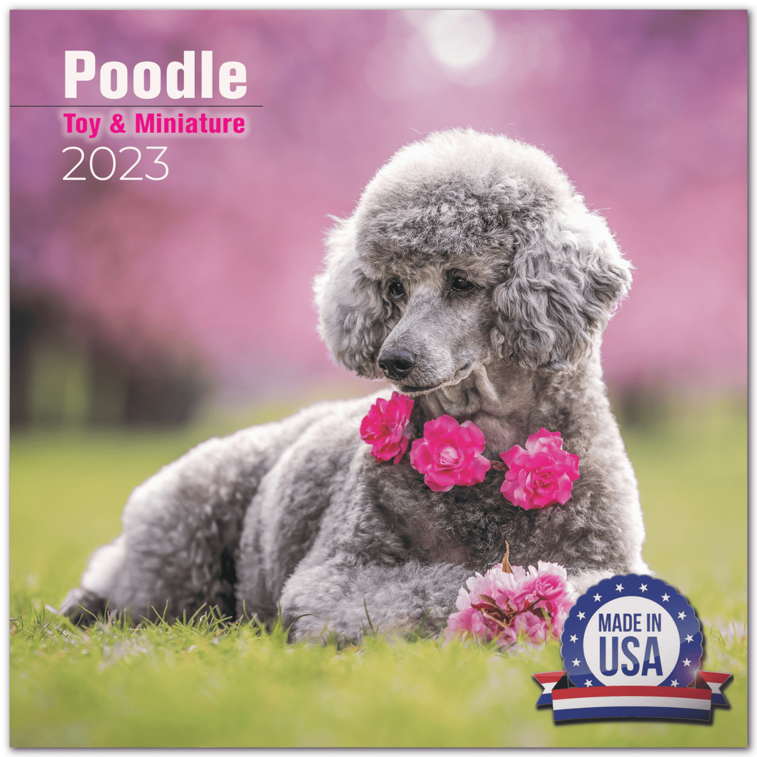 2022 2023 Toy Poodle Calendar - Dog Breed Monthly Wall Calendar - 12 x 24 Open - Thick No-Bleed Paper - Giftable - Academic Teacher's Planner Calendar Organizing & Planning - Made in USA