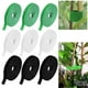 thumbnail image 2 of LYD Paquete de 3 cintas de lazo de rollo de velcro reutilizables, lazos para plantas, soportes de jardín de bucle, herramientas de soporte de envoltura de caña de bambú LYD Cinta de amarre con velcro, 2 of 2