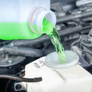 Super Tech Bug Remover with Rain Repeller Green Windshield Washer Fluid 1 Gallon