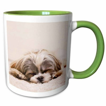 3dRose Shih Tzu Sleeping Best Friend Coffee Mug
