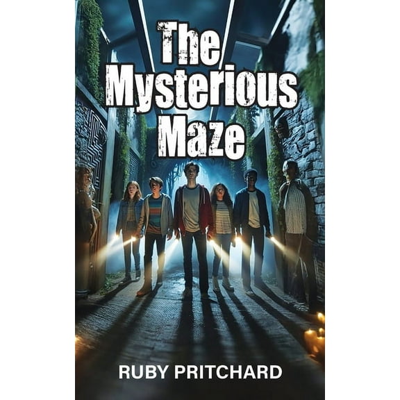 The Mysterious Maze, (Paperback)