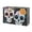 Day of the Dead Dia de los muertos-2, variant on Collapsible Oxford Fabric Storage Cubes with Handles, Large Mid Foldable Oxford Cloth Bins Set of 2/6, Closet Organizers for Shelves Clothes Home Kitchen Toy - eagle, america flag background