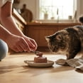 thumbnail image 3 of (12 pack) Special Kitty Mixed Grill Dinner Pate Wet Cat Food, 5.5 oz Can, 3 of 17