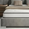 Signature Sleep Freedom 6" Memory Foam Mattress