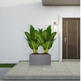thumbnail image 2 of Large Indoor Plant Pot 12" x 16" x 31" Inches Tall Outdoor Planter with Drainage, 2 of 7