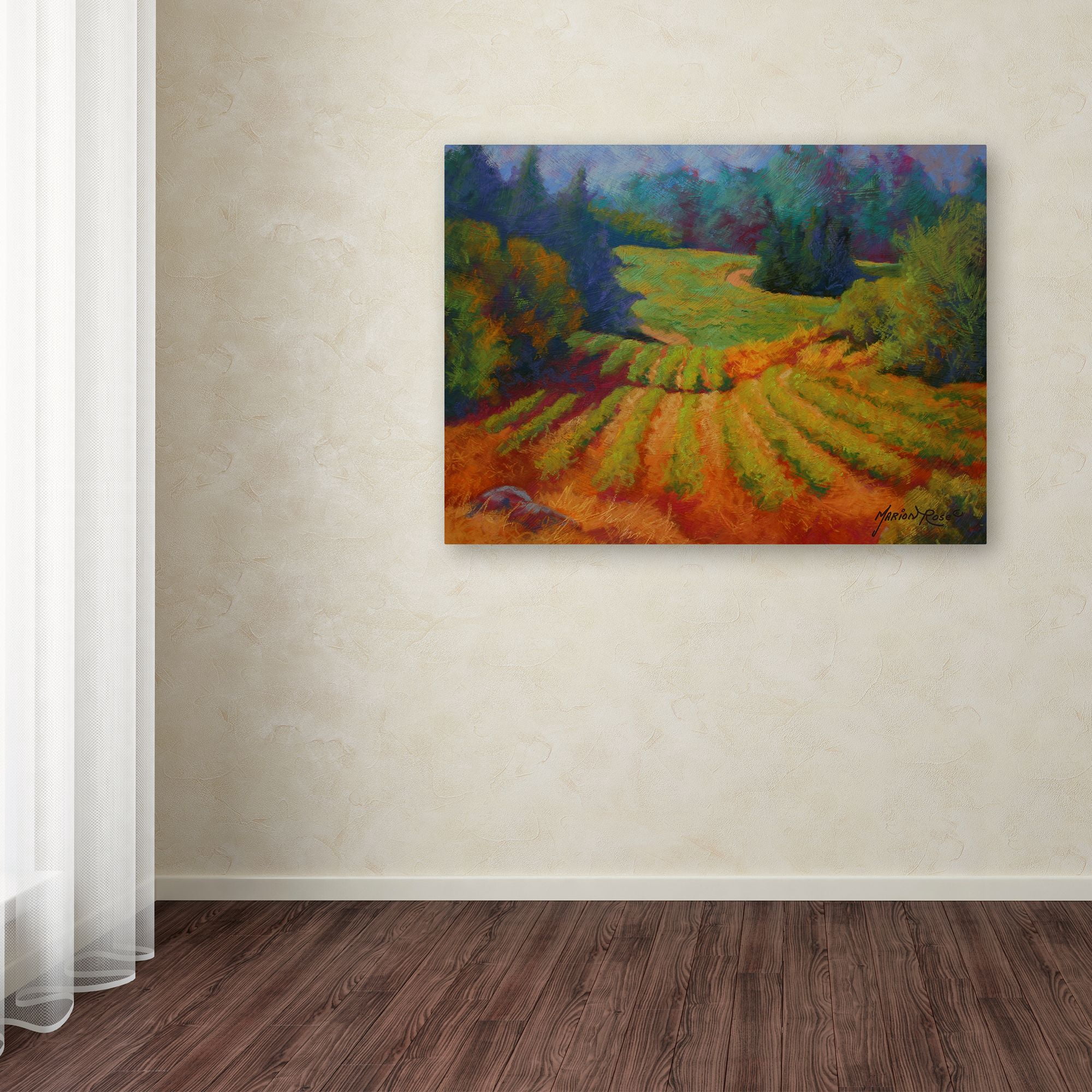 Trademark Fine Art 'Vineyard 2' Canvas Art by Marion Rose