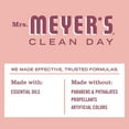 thumbnail image 4 of Mrs. Meyer's Room and Air Freshener Spray, Non-Aerosol Spray Bottle Infused with Essential Oils, Limited Edition Rose, 8 fl. oz - Pack of 3, 4 of 7
