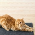 thumbnail image 6 of Cat Scratchers for Indoor Cats Self-Adhesive Cat Scratch Protector Pad Furniture Guard for Doors Couches Walls Damage Prevention Scratching Redirection Trim-to-Size, 6 of 7