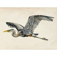thumbnail image 2 of Wang, Melissa 18x15 Gold Ornate Wood Framed with Double Matting Museum Art Print Titled - Blue Heron Rendering III, 2 of 4