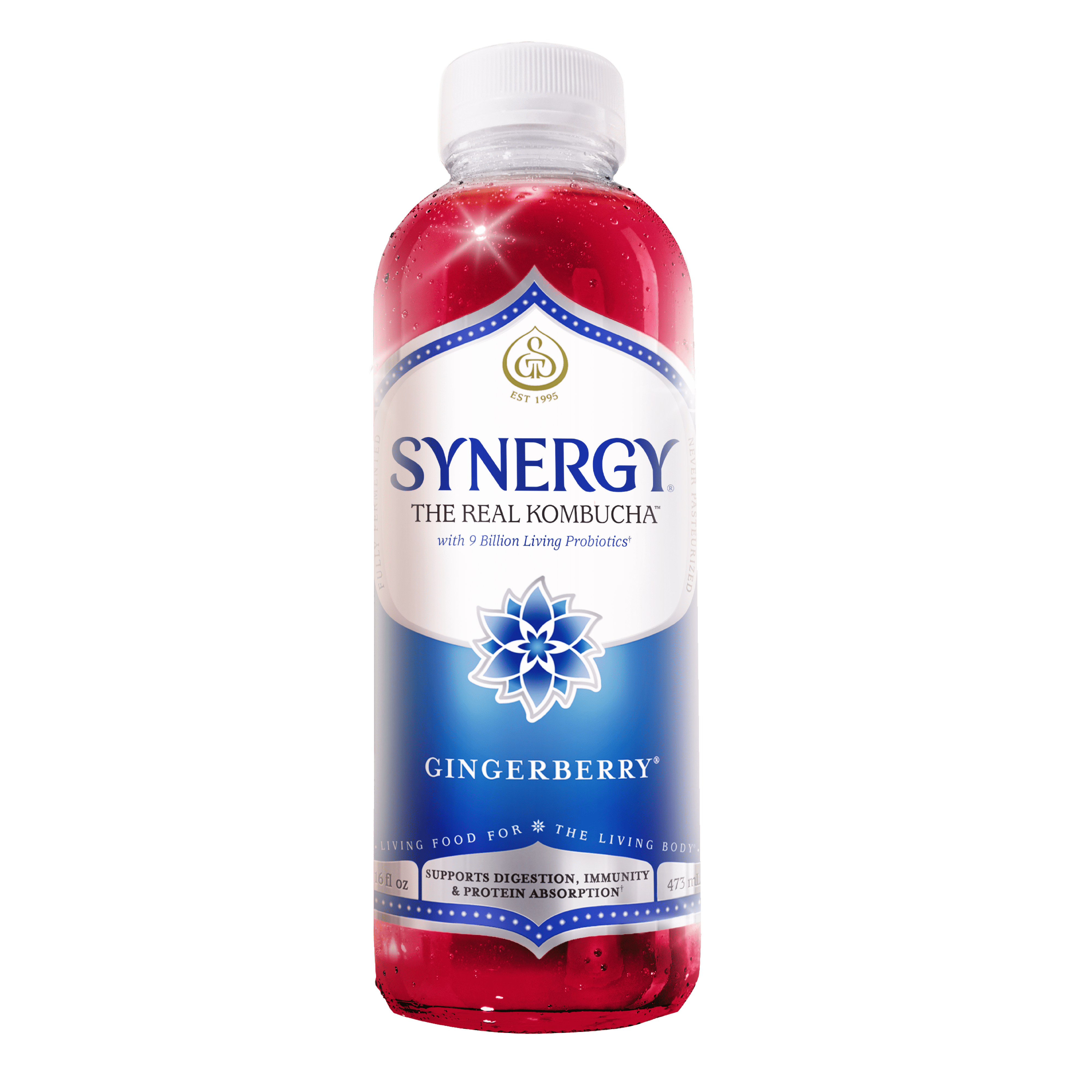GT.S Synergy Real Kombucha, Gingerberry, 16 fl oz, Fermented