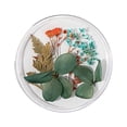 thumbnail image 2 of Uñas postizas, regalos para mujeres, decoración de uñas con flores secas, uñas japonesas, encaje 3D inmortal, juego de narcisos, lentejuelas para uñas., 2 of 2