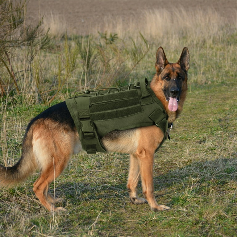 Tactical Dog Vest+Leash K9 Molle Harness Hunting Training