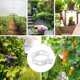 thumbnail image 5 of 100 clips de soporte de plantas de plástico blanco para ayudar al crecimiento vertical de las plantas de vid., 5 of 5