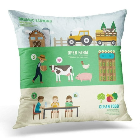ARHOME Flat Organic Clean Foods Good Health People Farming Eating Sitting Eco Livestock Farm in Nature with Cow Pillows case 20x20 Inches Sofa Cushion (Best Way To Clean Couch Pillows)