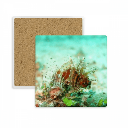 

Lionfish Ocean Sea Marine Organism Square Coaster Cup Mat Mug Subplate Holder Insulation Stone