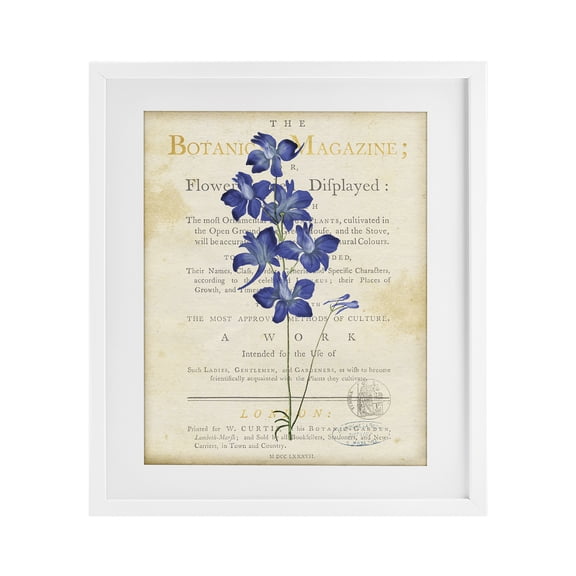 Stupell Industries Shabby Chic Natural Botanic Garden Flower White Framed Print Under Glass, 17 x 21, by Susan Arnot