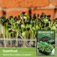 thumbnail image 2 of 2 Packs Sunflower Microgreens Seed - Non-GMO Heirloom Full Sun Annual, 2 of 6