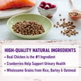thumbnail image 3 of Wellness Nourriture Sèche pour Chats au Poulet et au Riz Complete Health, Sac de 2,27 kg, 3 of 5