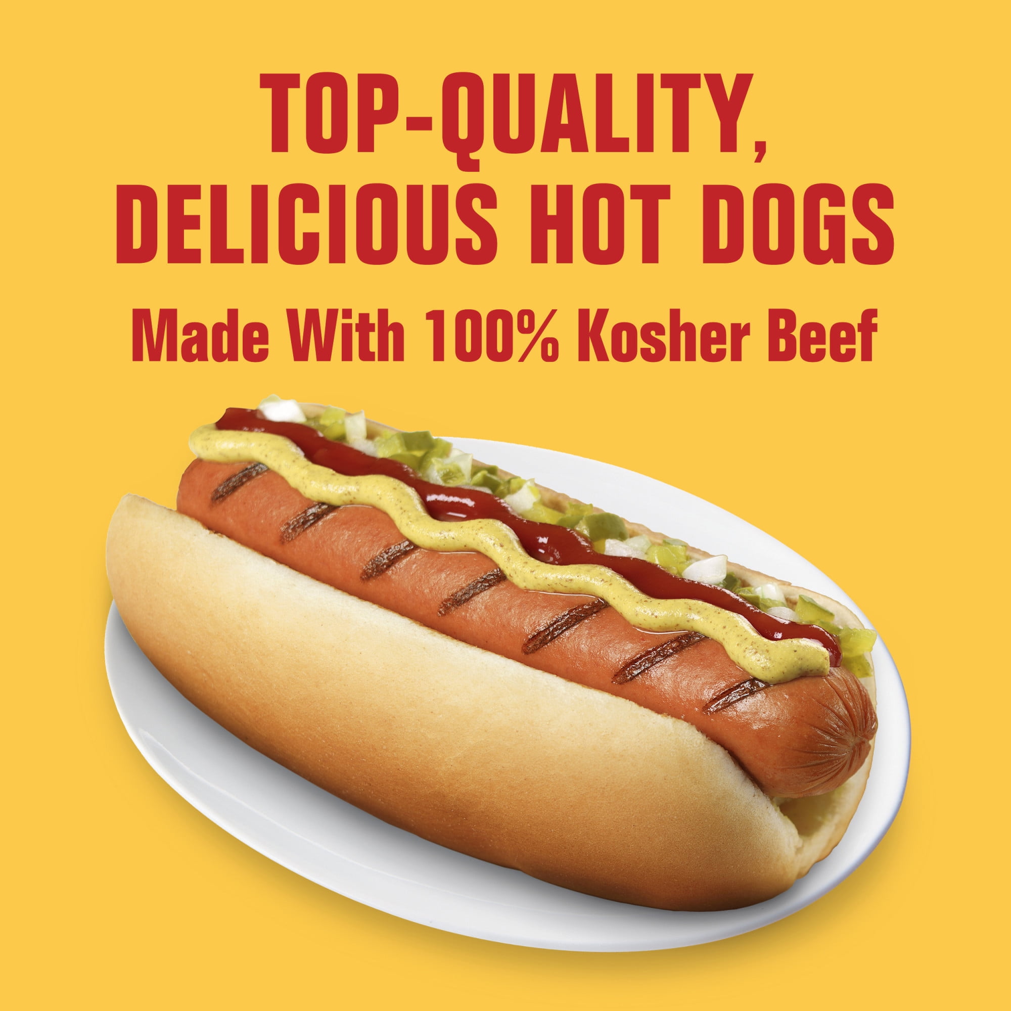 Hebrew National 100% Kosher Beef Franks, Hot Dogs, 10.3 oz 6 Count