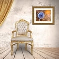 thumbnail image 3 of Dufour, Thierry 32x25 Gold Ornate Wood Framed with Double Matting Museum Art Print Titled - Blue Exoplanet..., 3 of 4