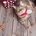 thumbnail image 2 of 4Pcs Interactive Cat Teasers Wear-resistant Cat Playthings Convenient Kitten Toys, 2 of 9