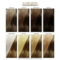 Adore Semi Permanent Hair Color - Vegan and Cruelty-Free Hair Dye - 4