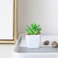 thumbnail image 6 of Mini Artificial Succulents in Plastic Pots, Fake Potted Succulent Plants, Small Faux Succulents, Indoor Plant Decor, Desk Shelf Ornaments, Bathroom Office Accents, Living Room Table Decor for Office, 6 of 7