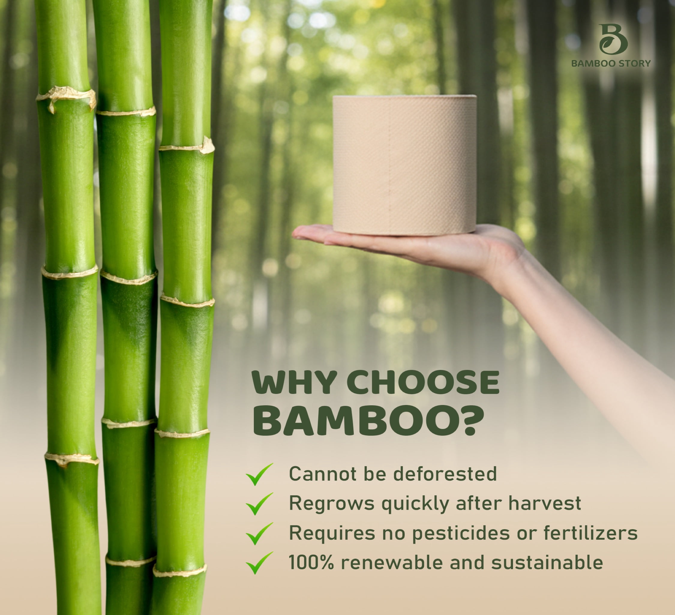 Bamboo Story Bamboo Toilet Paper Unbleached – 6 Rolls, 3-Ply, 350 Sheets | Hypoallergenic, Chemical Free, Septic Safe, FSC Certified | Non Toxic, Natural Bamboo Tissue